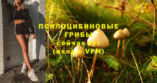 а пвп мука Алзамай